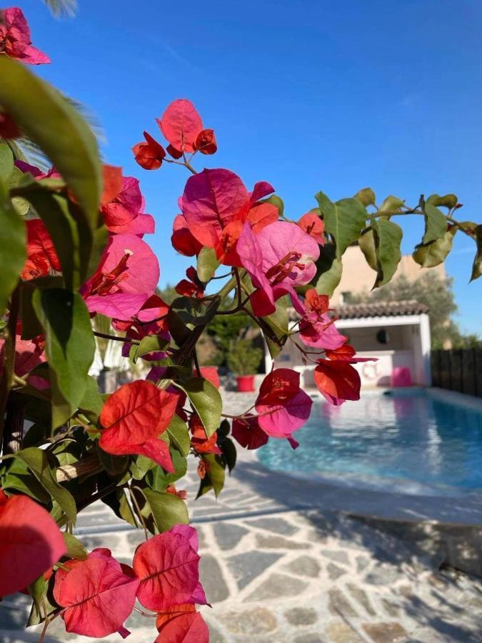 Apartament Maxima Sunset Sainte-Maxime Zewnętrze zdjęcie