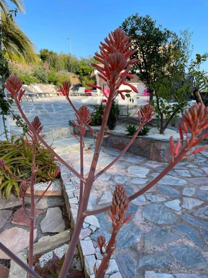Apartament Maxima Sunset Sainte-Maxime Zewnętrze zdjęcie