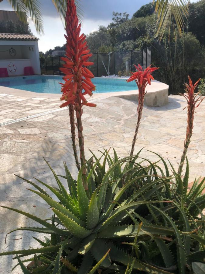 Apartament Maxima Sunset Sainte-Maxime Zewnętrze zdjęcie