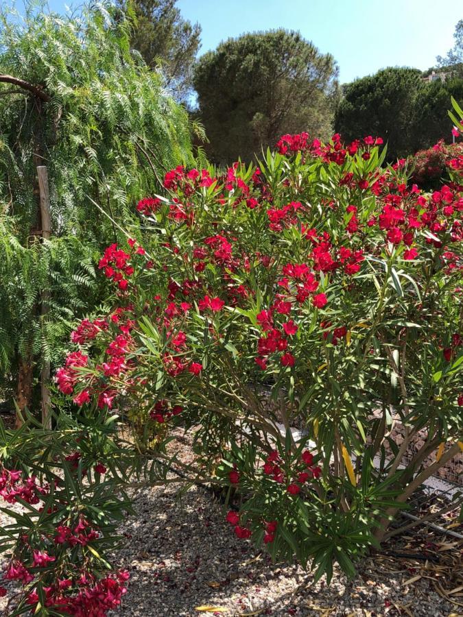 Apartament Maxima Sunset Sainte-Maxime Zewnętrze zdjęcie